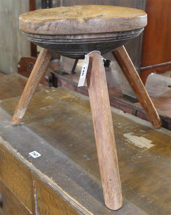 Primitive cricket stool